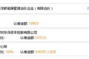 华阳新能源集团