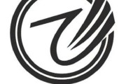 带飞字的霸气公司名字