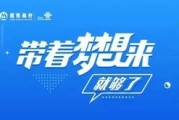 盛联新能源有限公司