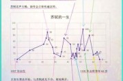 大数据论文参考文献