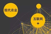 大数据存储与管理的方式