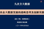 立足于大数据战略