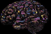 揭秘微观世界的奥秘—透射电镜图如何改变我们对科学的认知