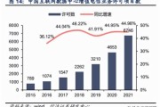 国电投新能源发展部副部长