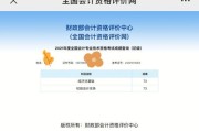 大数据与审计学什么课程