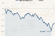 贵阳大数据控股的股票分析与投资建议