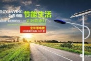 湖南新能源公司排名
