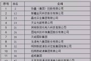 中国新能源五百强概述