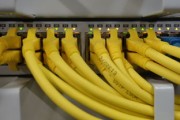 广西竹鼠养殖技术全解析，从入门到精通的致富之路