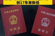 全国婚姻大数据