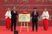联亿新能源科技股份有限公司招聘