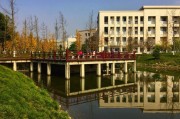电子科技大学清水河校区是哪个区