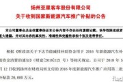 江苏扬州新能源科技有限公司