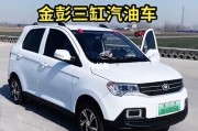 新能源汽车农村怎么充电