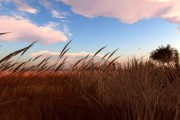 Exploring the English Essay on Tech-Enhanced Life
