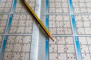 涤纶丝价格波动背后的逻辑与应对策略