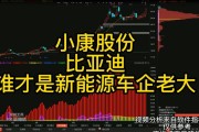 新能源的龙头企业