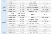 中核新能源补贴购车