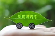 新能源油被国家认可吗