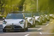 德国迎战特斯拉 大众投600亿 戴姆勒看空RoboTaxi 最严碳排放