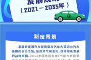 新能源在中国的可行性研究