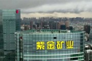 福建龙岩的新能源公司排名