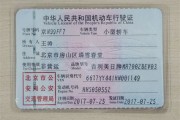 新能源汽车行驶证车辆类型