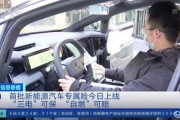 新能源车险