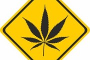 盐酸氯苯胍—守护健康的隐形盾牌
