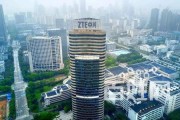 中兴公司国企还是民企？揭秘其背后的身份之谜