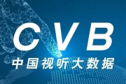 中国视听大数据