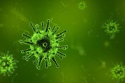 培养基种类全解析，从基础到高级，全面了解微生物和细胞生长的土壤