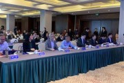 铜陵新能源汽车补贴政策