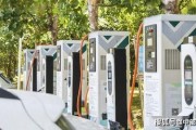 蜂巢新能源coo