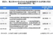 新能源车企业市场份额分析