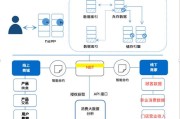 大数据领域顶尖专家