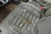 新能源车里进老鼠