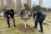 公司植树节活动主题