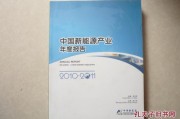中国新能源汽车报告