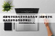 电子科技大学中外合作办学项目