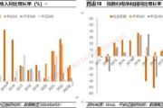 新能源基金的风险分析