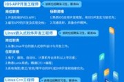 体育数据分析公司
