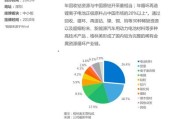 新能源中国外资企业排名