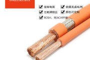 新能源车充电电线要求