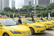 武威2021年出租车政策