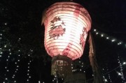 空心阴极灯，点亮科学与技术的魔法灯笼