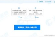 巽风无叚全新升级数实融合线上交易平台开启试运营