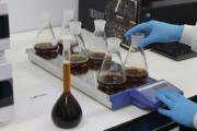 揭秘大肠杆菌菌落，从实验室到生活中的科学奥秘