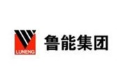 鲁能新能源(集团)有限公司主营业务
