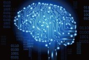 像研究人类一样研究：人类能否解锁黑匣子？《自然》长文